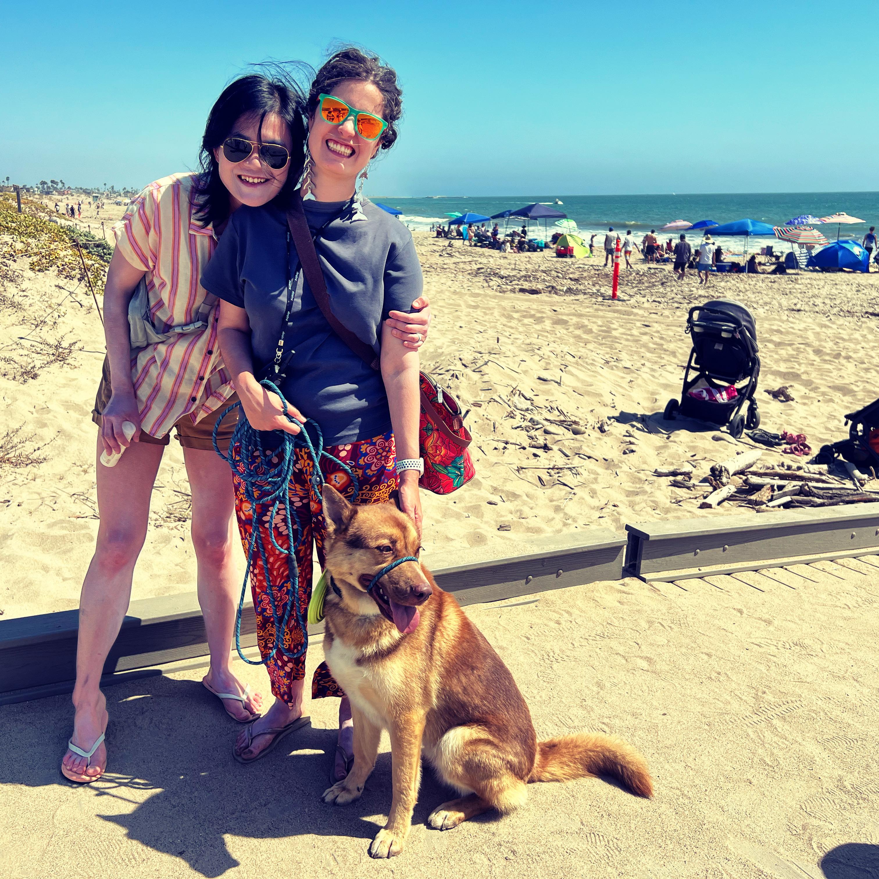 At the beach with our third foster doggo - Desi the gusino