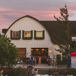 Faith Hope & Charity Vineyards