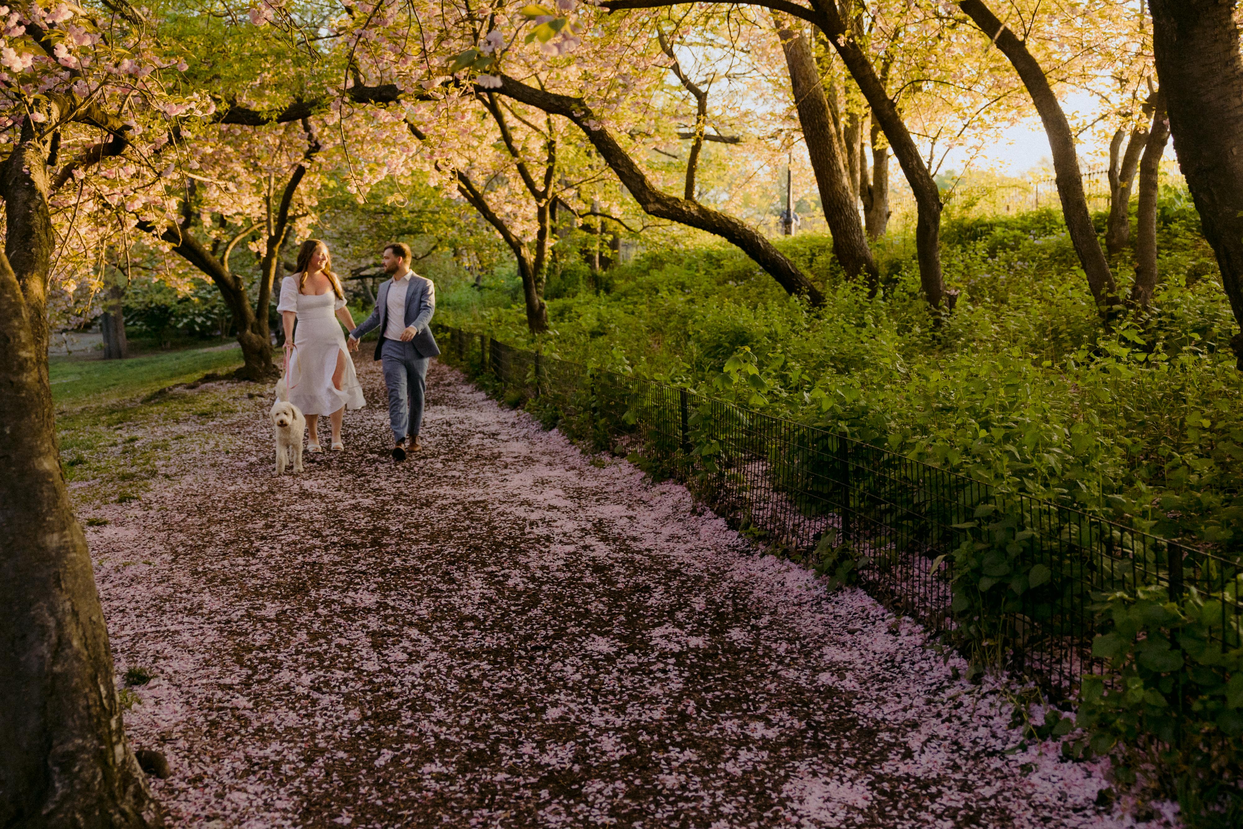 The Wedding Website of Jess Bergson and Kyle Easop