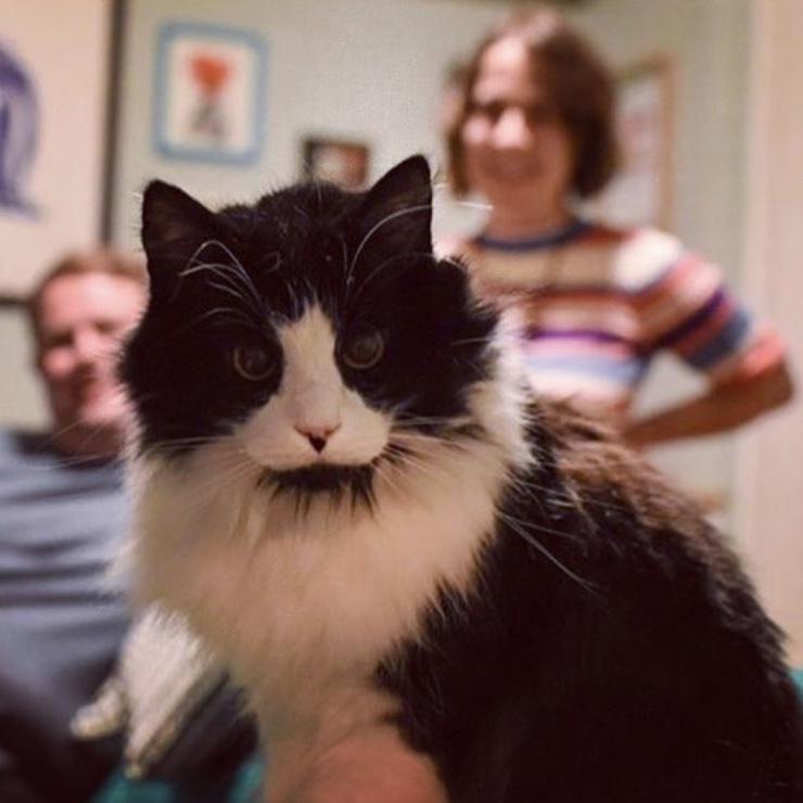 Always dressed to impress, their handsome son, Sylvester, is their pride and joy.