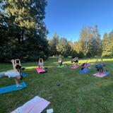 Yoga in Stromovka park