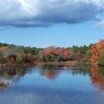 Quogue Wildlife Refuge