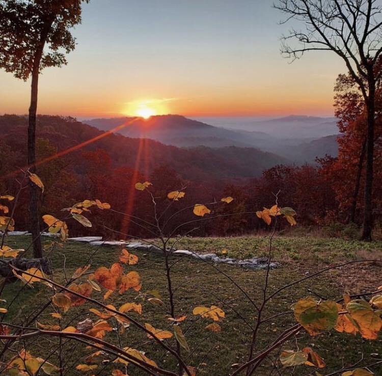 The Wedding Website of Alicia Collard and Spencer Pilkington