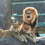 Sedgwick County Zoo