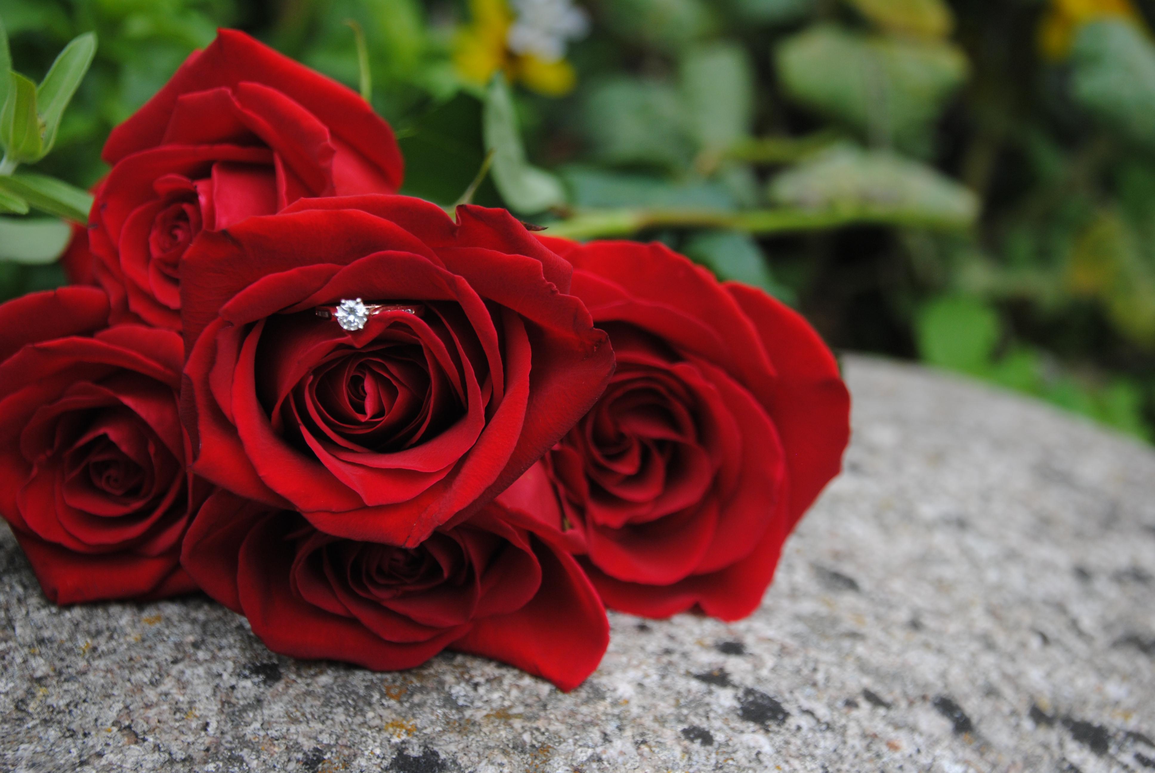 The Wedding Website of Tristen Ehredt and Kameron Joostberns
