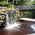 Mounts Botanical Garden