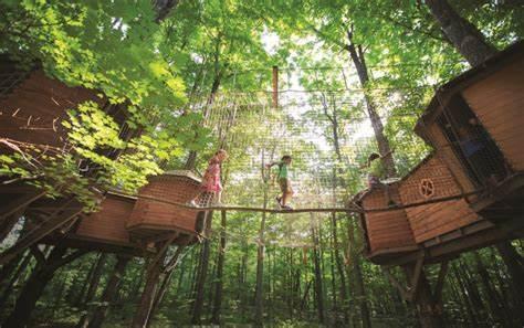 The Wedding Website of Kaitlyn Sattler and Cody Munsterman