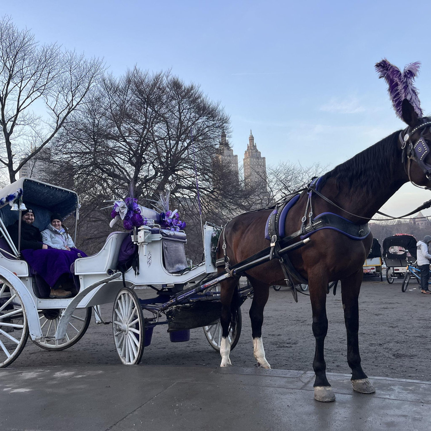 Christmas in New York 2024