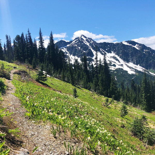 New Hiking Gear for Exploring National Parks