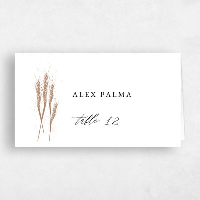 Camel, Brown Wedding Place Card - Alder