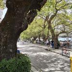 Gribovo Lepanto Beach Walk