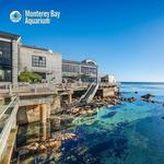 Monterey Bay Aquarium