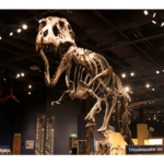 Orlando Science Center