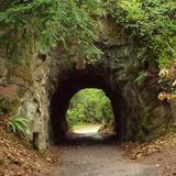 Sehome Hill Arboretum