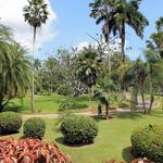 The Royal Botanical Gardens