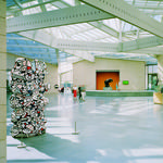 Nasher Museum of Art