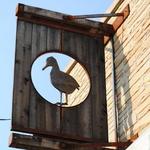 Odd Duck