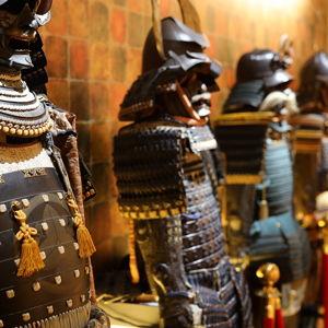 Museum fund