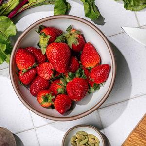 Everyday Bowl 4-Pack Eggshell