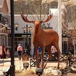 Merrimack Premium Outlets