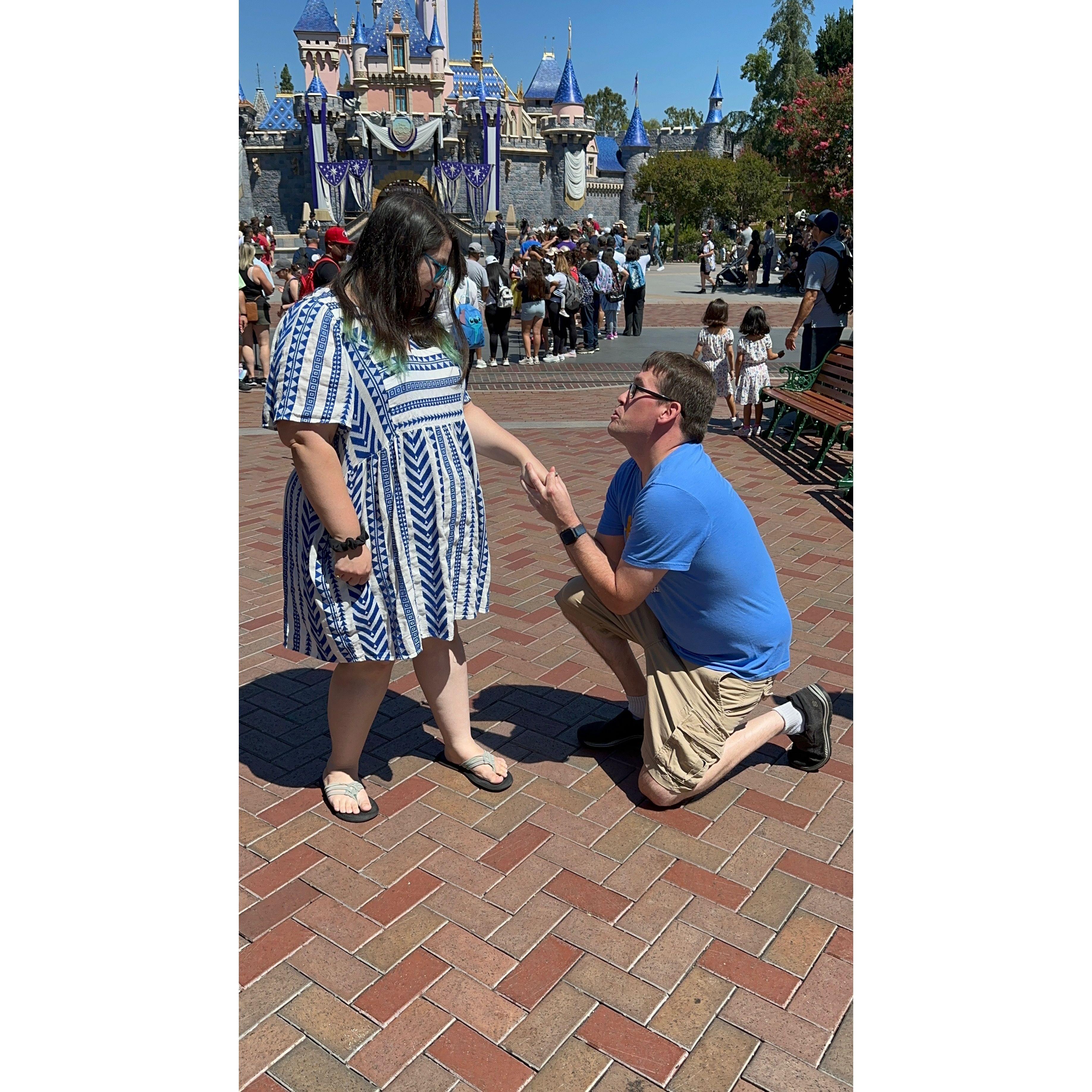 The proposal!