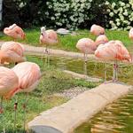 Cleveland Metroparks Zoo