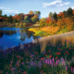 Chicago Botanic Gardens