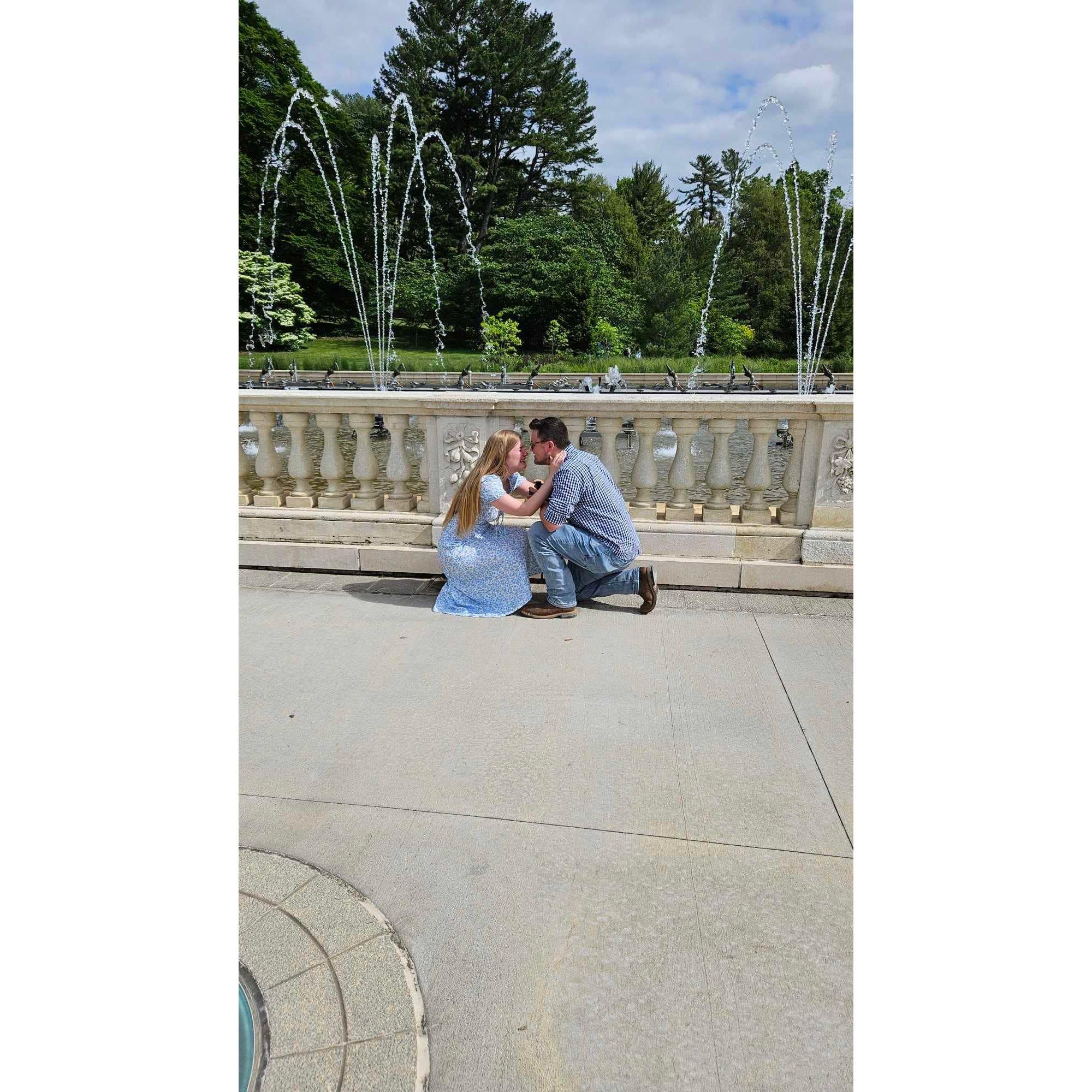 The Proposal