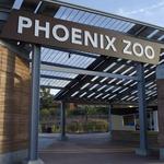 Phoenix Zoo