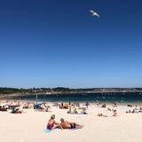 Trez Hir Beach