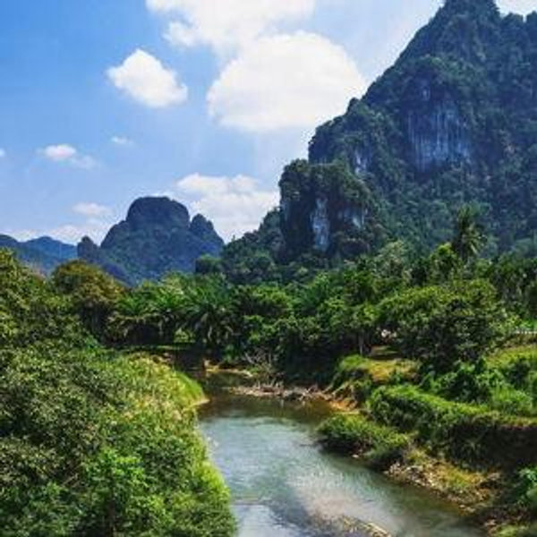 Khao Sok National Park Private Boat Safari