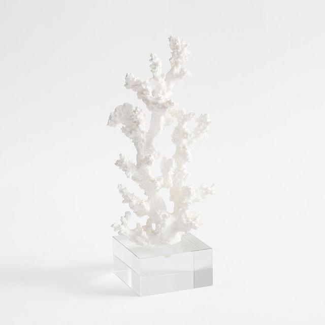 Coral Bookend, Medium