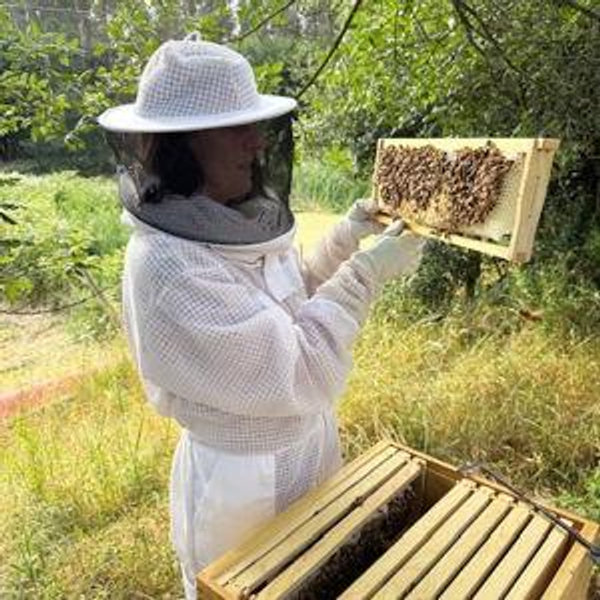 Orchard and Homestead fund
