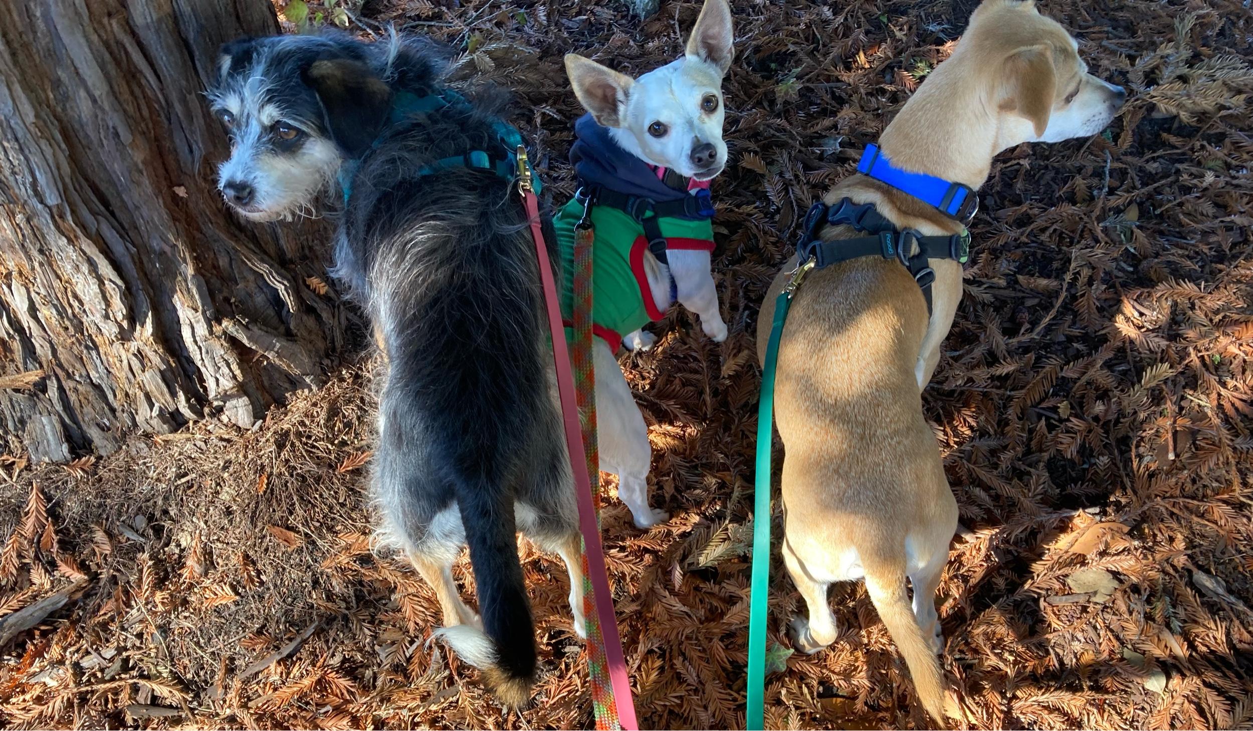 Hero Slideshow Image 5