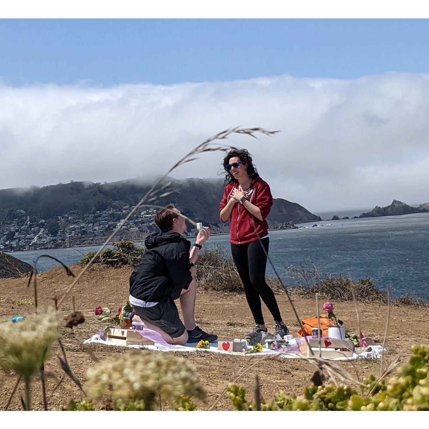 Surprise picnic proposal! (July 2021)