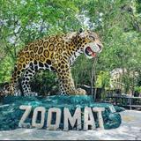 ZOOMAT