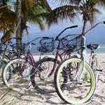 We Cycle | Key West Bike Rental (Old Town)