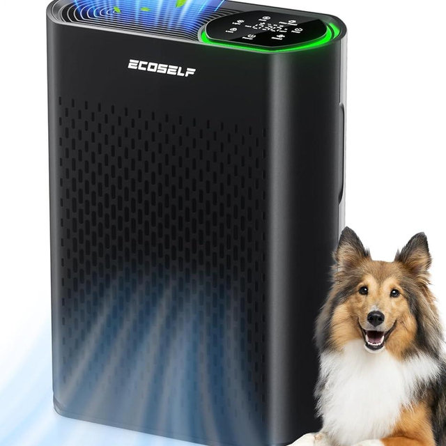 Air Purifier for Large Room, Cleans 2,400 ft² in 30 Mins, 3-Stage True HEPA, 360° Airflow, Large Touch Display Control, Real-Time Air Quality (PM2.5) Display, Ultra-Quiet 20dB Sleep Mode, HAP602 Black