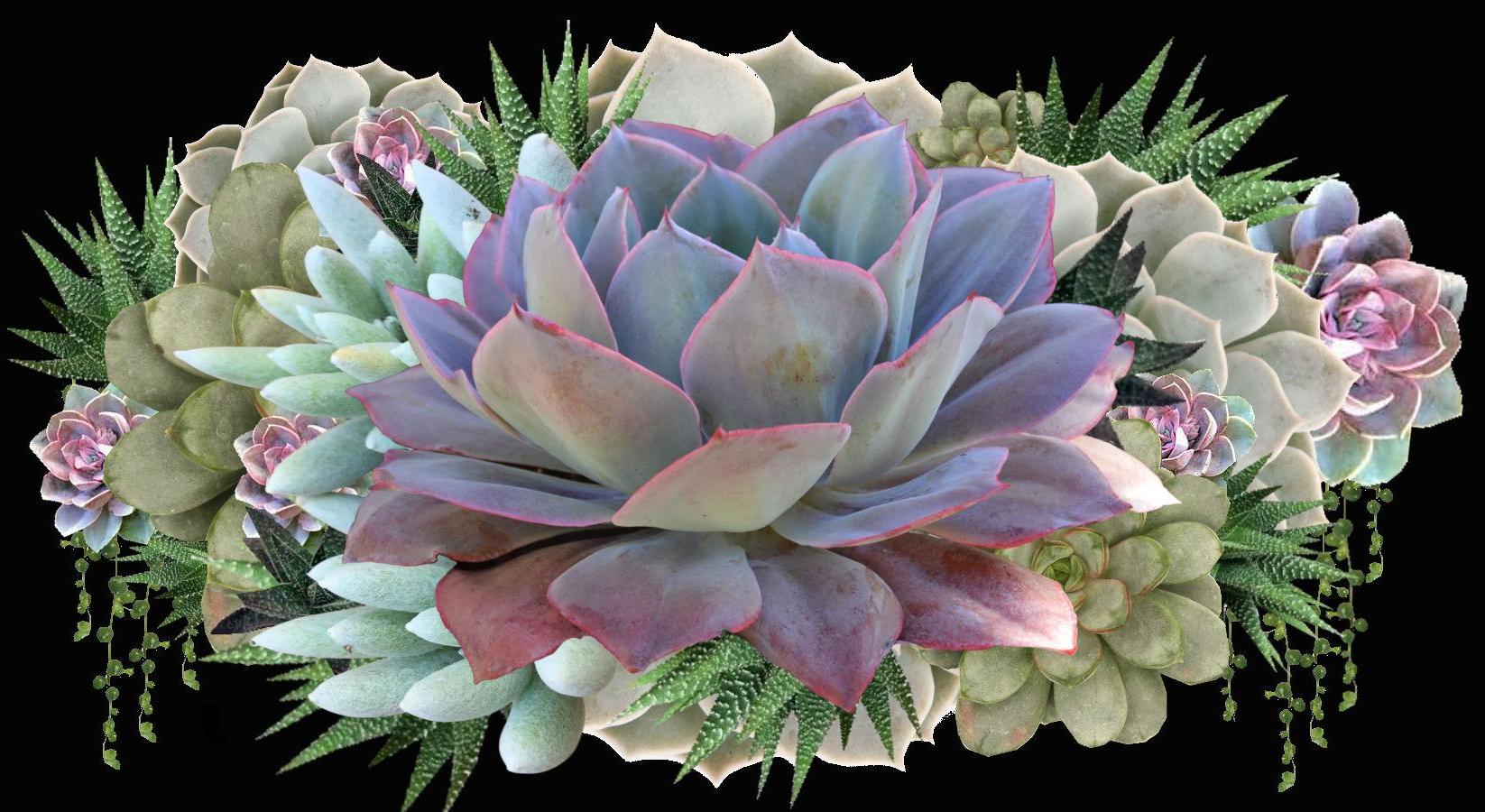 Footer image