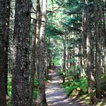Winner Creek Gorge Trail Head (Lower Winner Creek Trail)