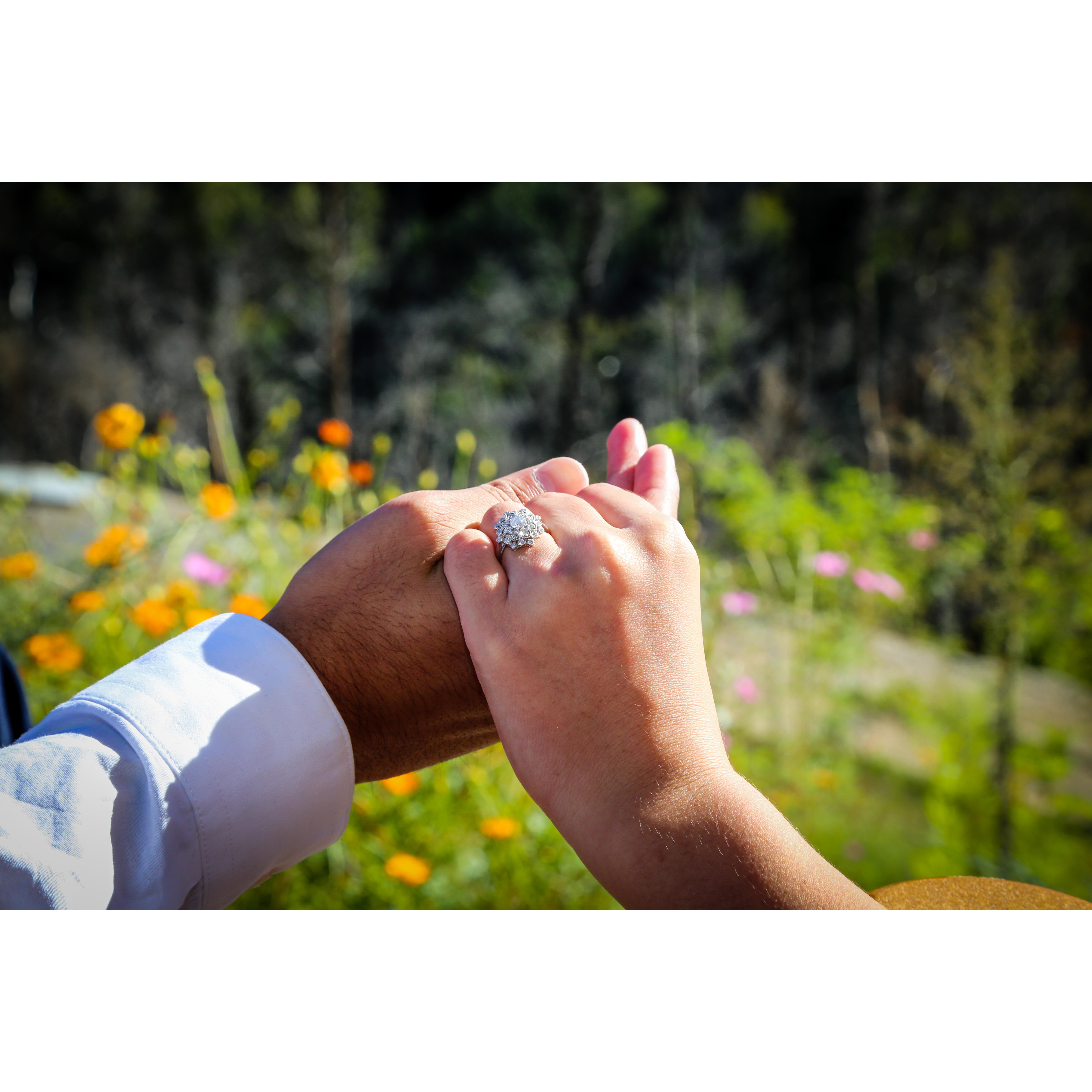 My Favorite photo from the proposal.
