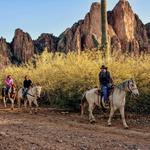 Saguaro Lake Ranch Stable