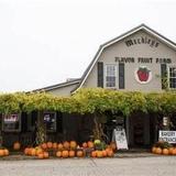 Meckley’s Flavor Fruit Farm