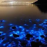 Luminous Lagoon Glistening Waters