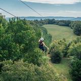 Zipline Canopy Tour