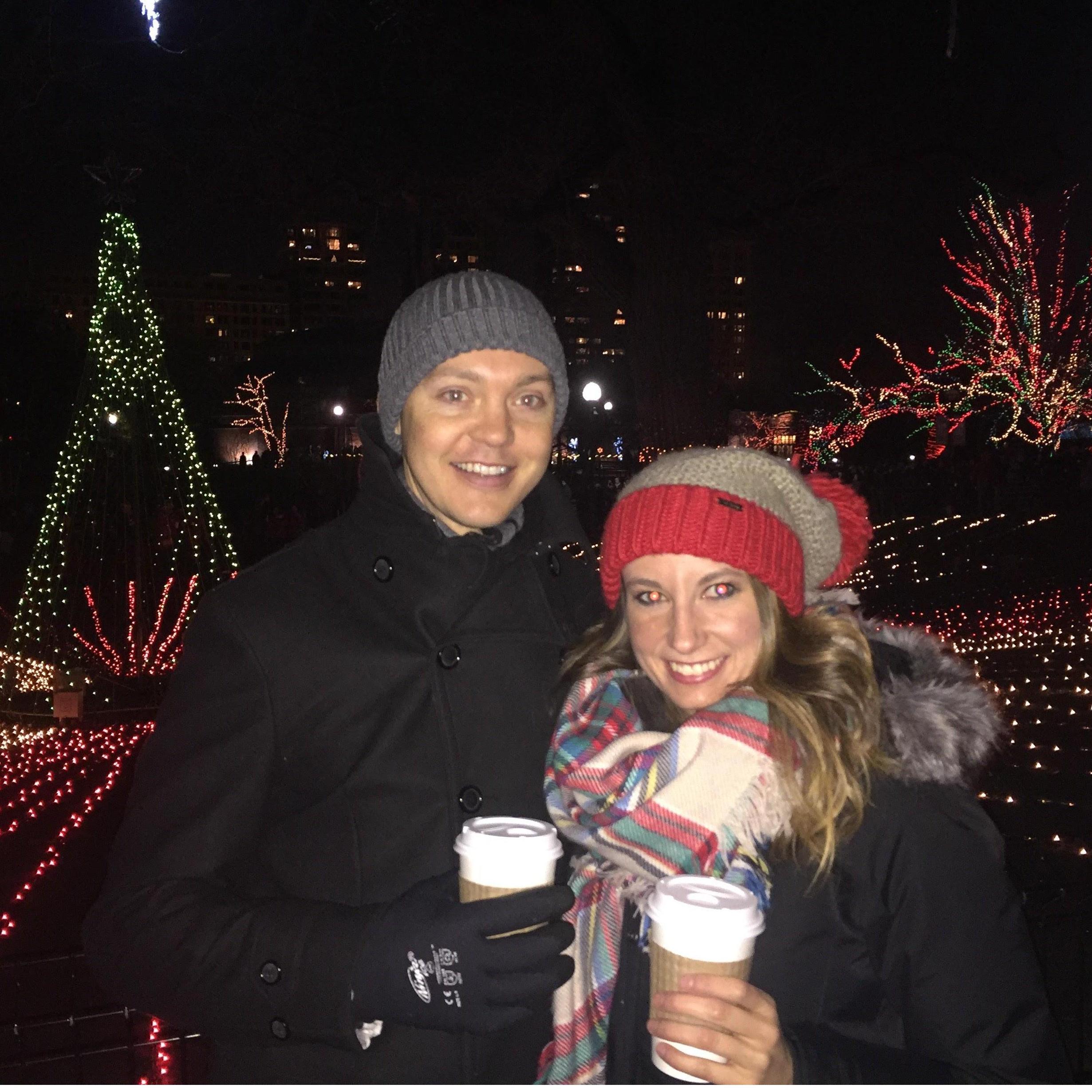 Zoo Lights 2015