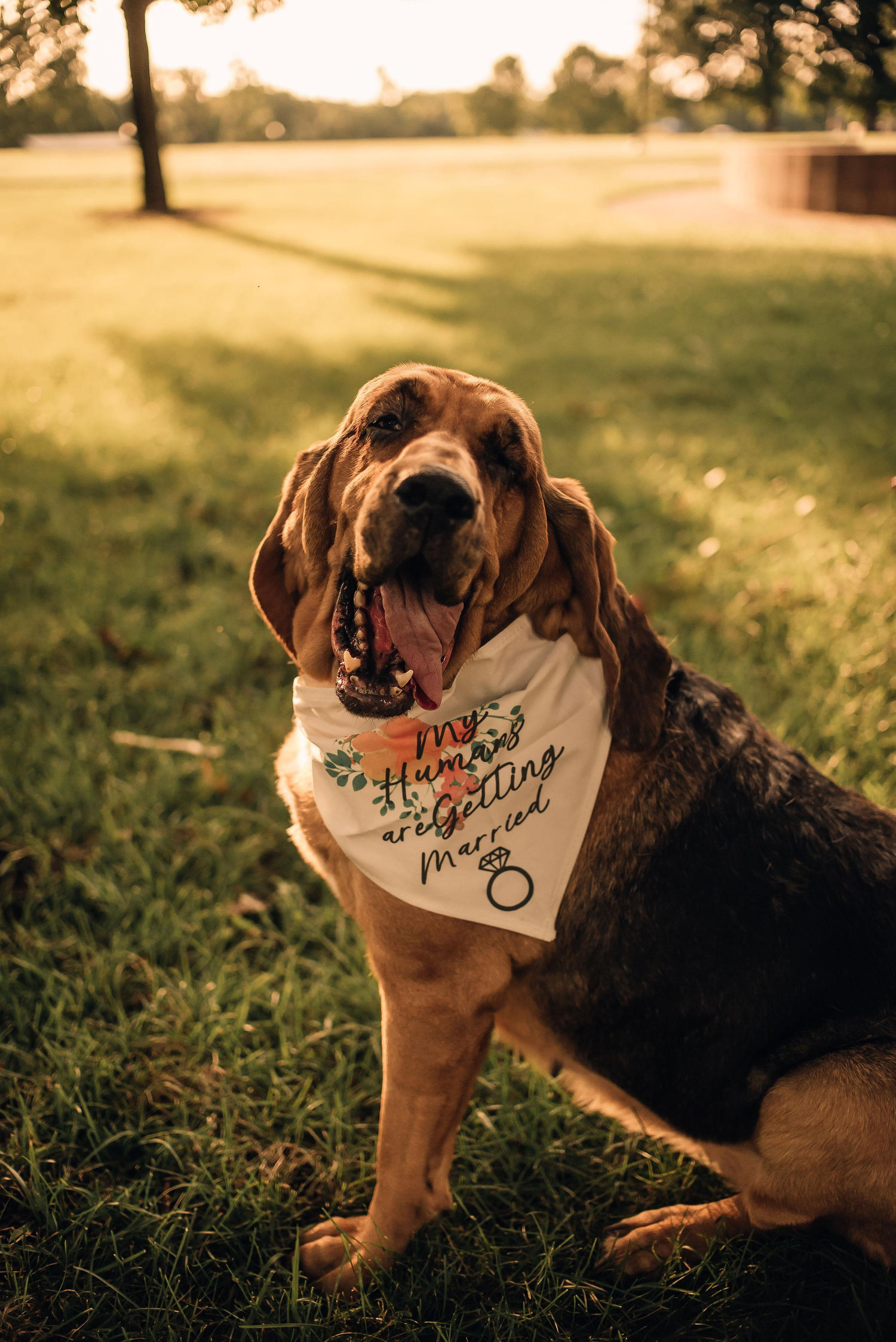 The Wedding Website of Shelby Rose and Percy Philpott Jr.