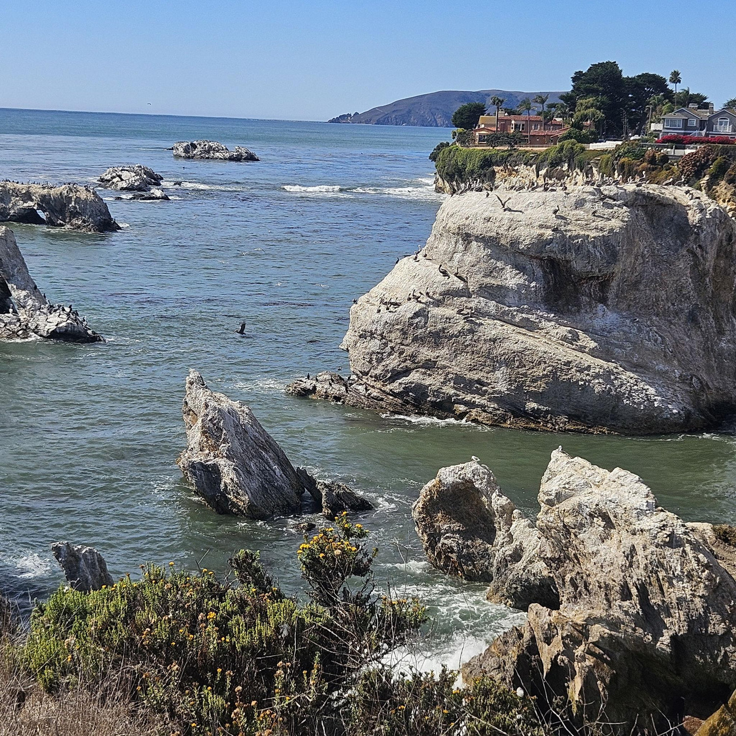 10/12 Dinasaur Caves Park, Pismo Beach