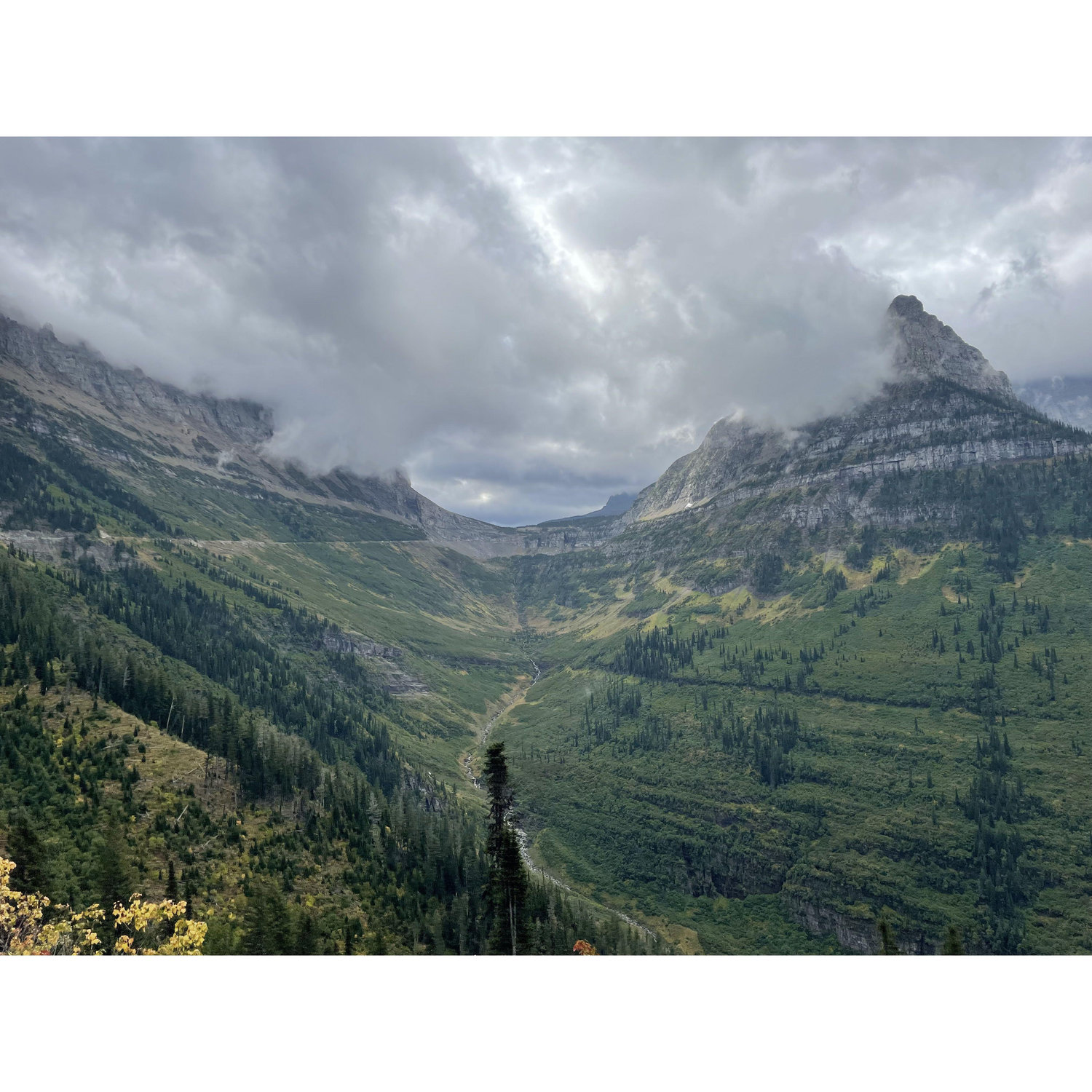 Going to the Sun Road, Glacier NP