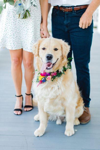 The Wedding Website of Katie Hall and Jeffrey Gray